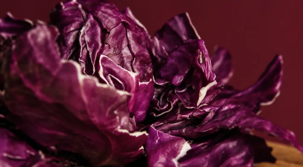 Game Marinade and Spicy Red Cabbage, prepared and ready to serve.