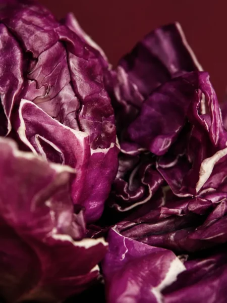 Game Marinade and Spicy Red Cabbage, prepared and ready to serve.