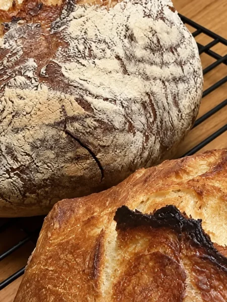 Pagnotta (Crusty Italian Semolina Bread), prepared and ready to serve.